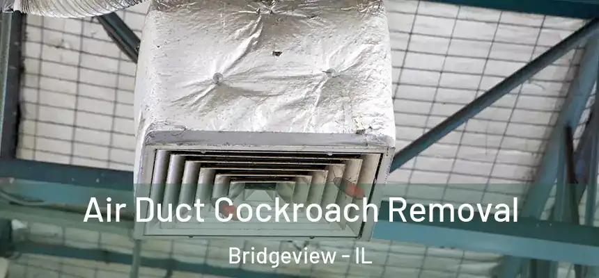  Air Duct Cockroach Removal Bridgeview - IL