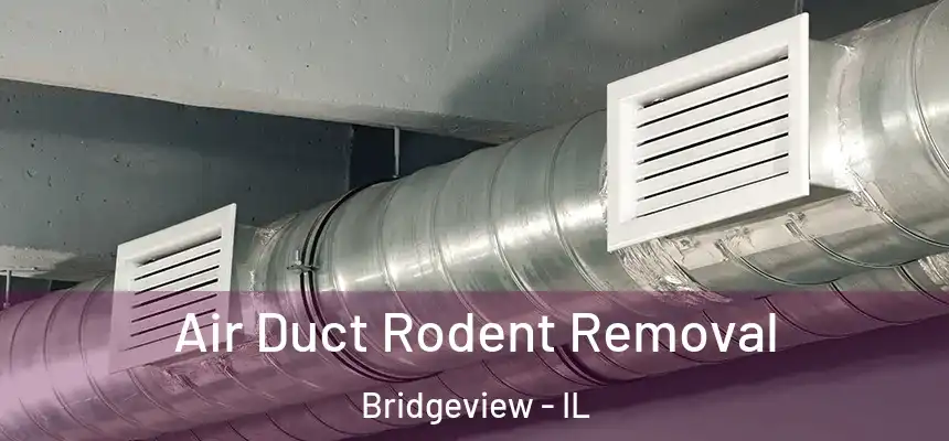  Air Duct Rodent Removal Bridgeview - IL