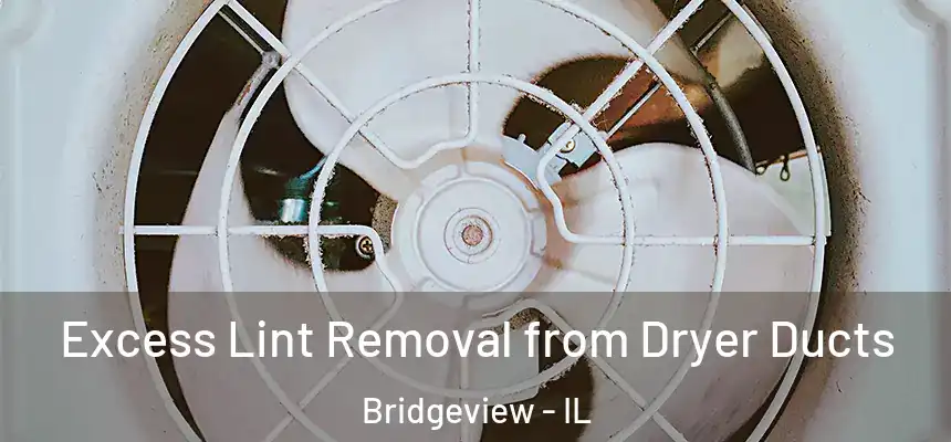  Excess Lint Removal from Dryer Ducts Bridgeview - IL