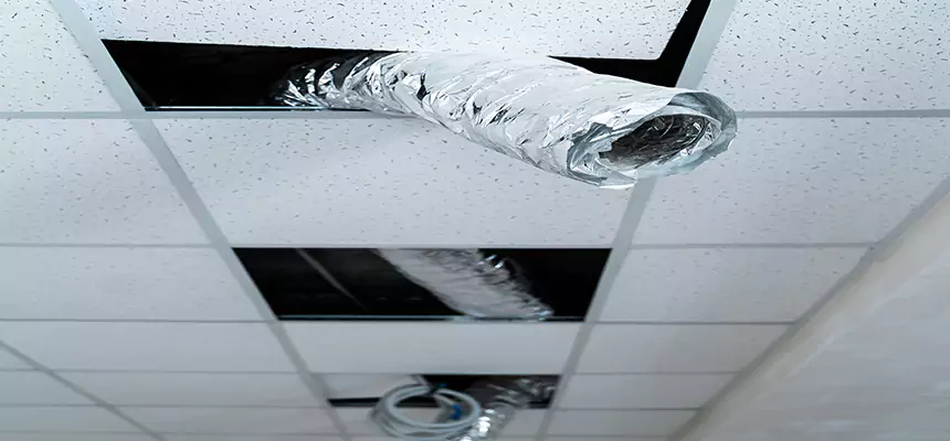 Affordable HVAC Sanitizing After Pest Removal in Bridgeview