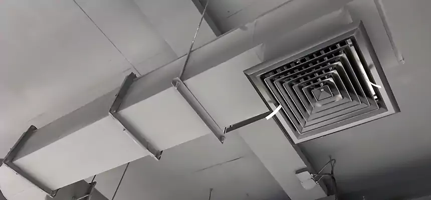 Our Pest Removal From Ducts Services in Bridgeview, IL