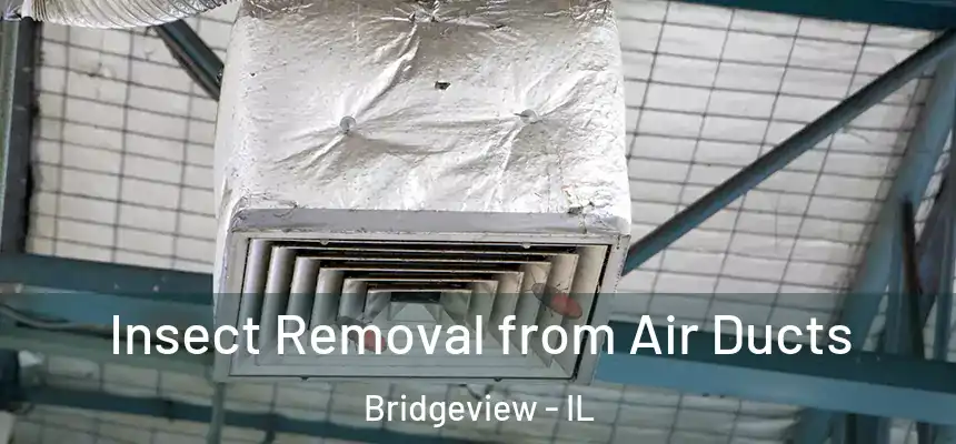  Insect Removal from Air Ducts Bridgeview - IL