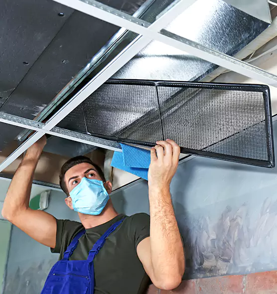 About Air Duct Bacteria Removal in Bridgeview