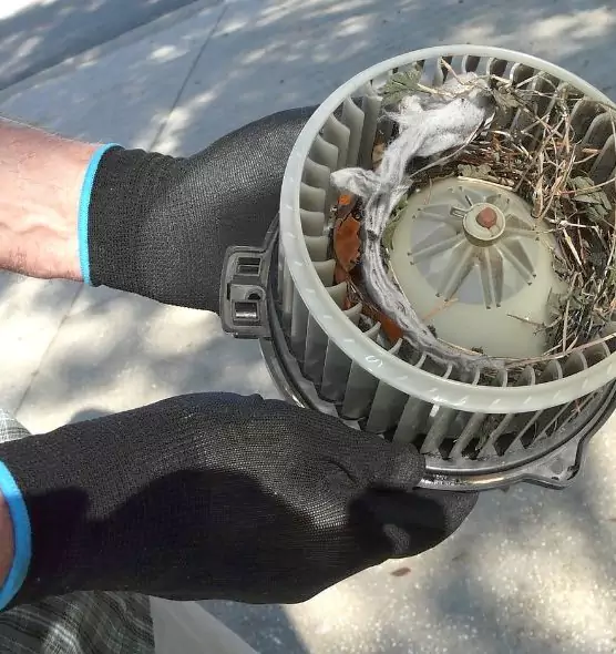 About Air Duct Rat Removal in Bridgeview, IL