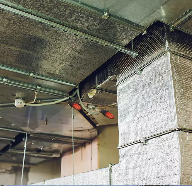 Why Homeowners & Businesses Trust Us in Bridgeview, IL?