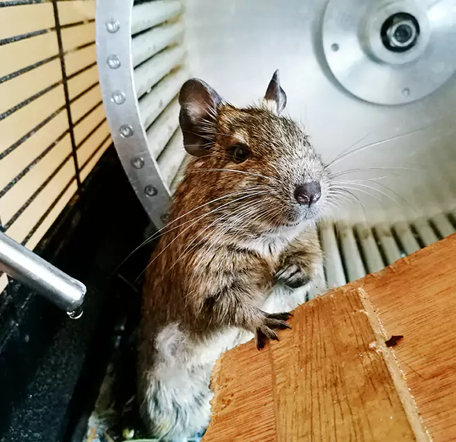 Why Homeowners & Businesses Trust Us Bridgeview, IL