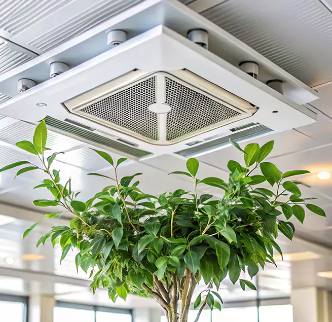 Why Homeowners & Businesses Trust Us in Bridgeview, IL?