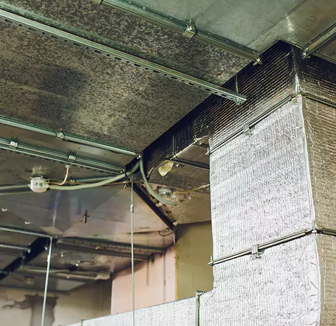 Why Homeowners & Businesses Trust Us in Bridgeview, IL?